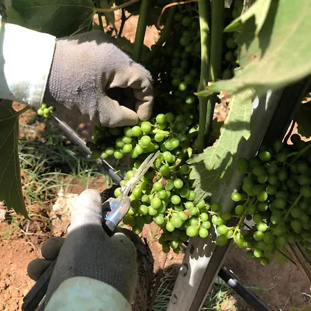 Tratturi Reali Pensión 3*