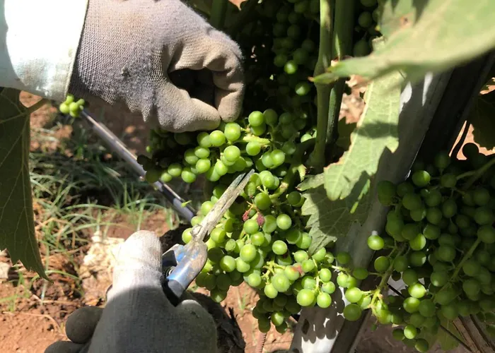 Tratturi Reali Affittacamere 3*